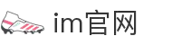 IM官网 - 专业体育与真人娱乐综合平台